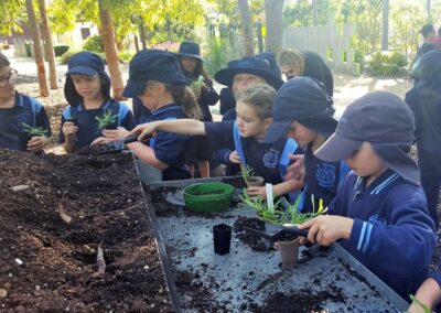 Schools children planting