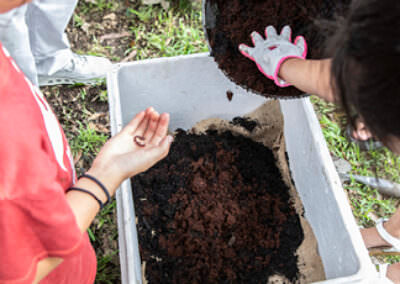 Creating a worm farm