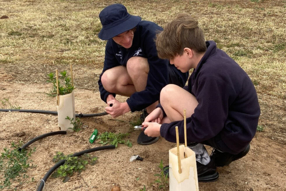 biodiversity case study high school