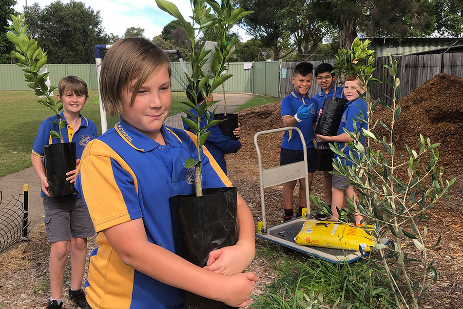 Students outside holding plants