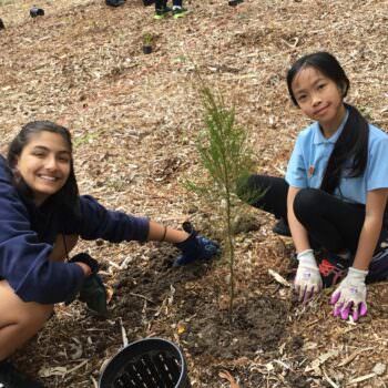 Schools, kindergartens and youth groups encouraged to apply for Victorian Junior Landcare and Biodiversity Grants
