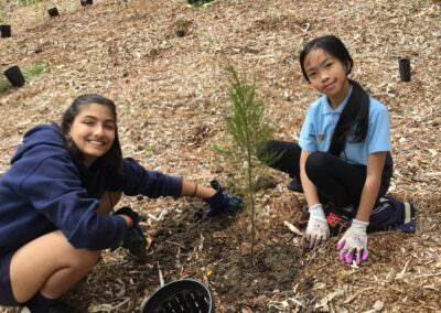 Children working on biodiversity enivronmental education activity