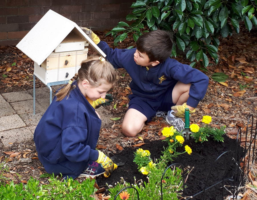 Kids planting flowers near bee hotel