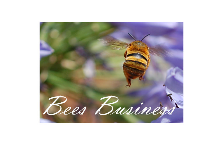 Bee Business logo
