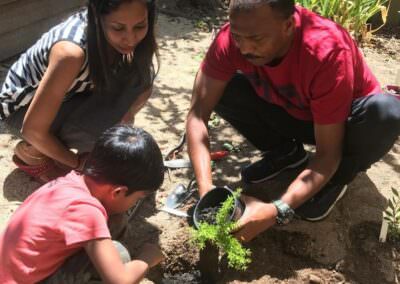 Young student planting seedling with supervision