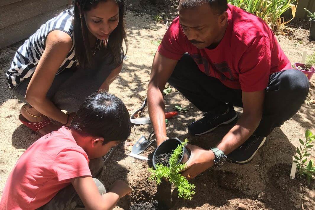 Young student planting seedling with supervision