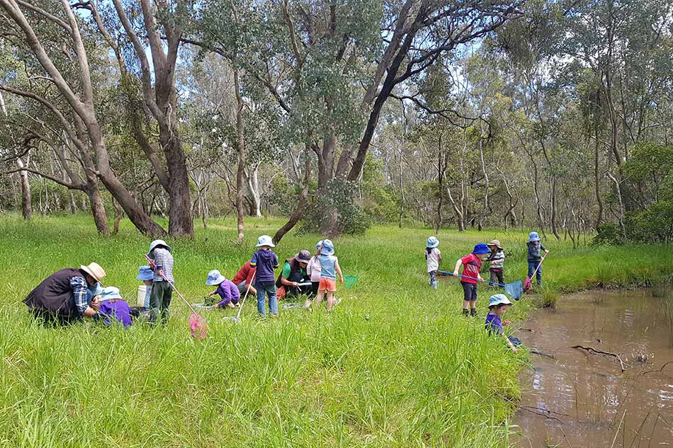 Bush kinder kids out in the field