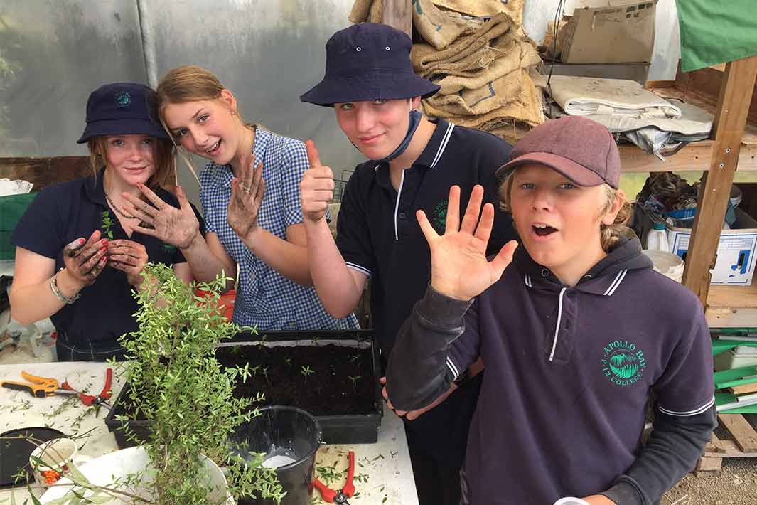 Students at Apollo Bay P-12 College getting hands-on propagating native plants.