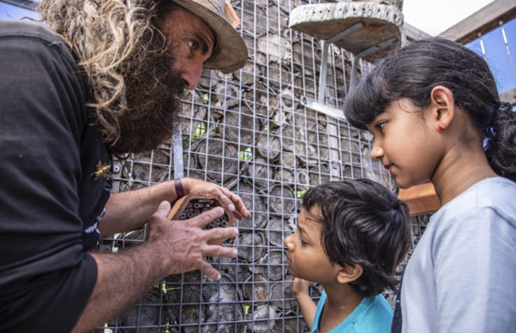 Image Description: TV personality Costa Georgiadis showing a small bee hotel to two interested children.