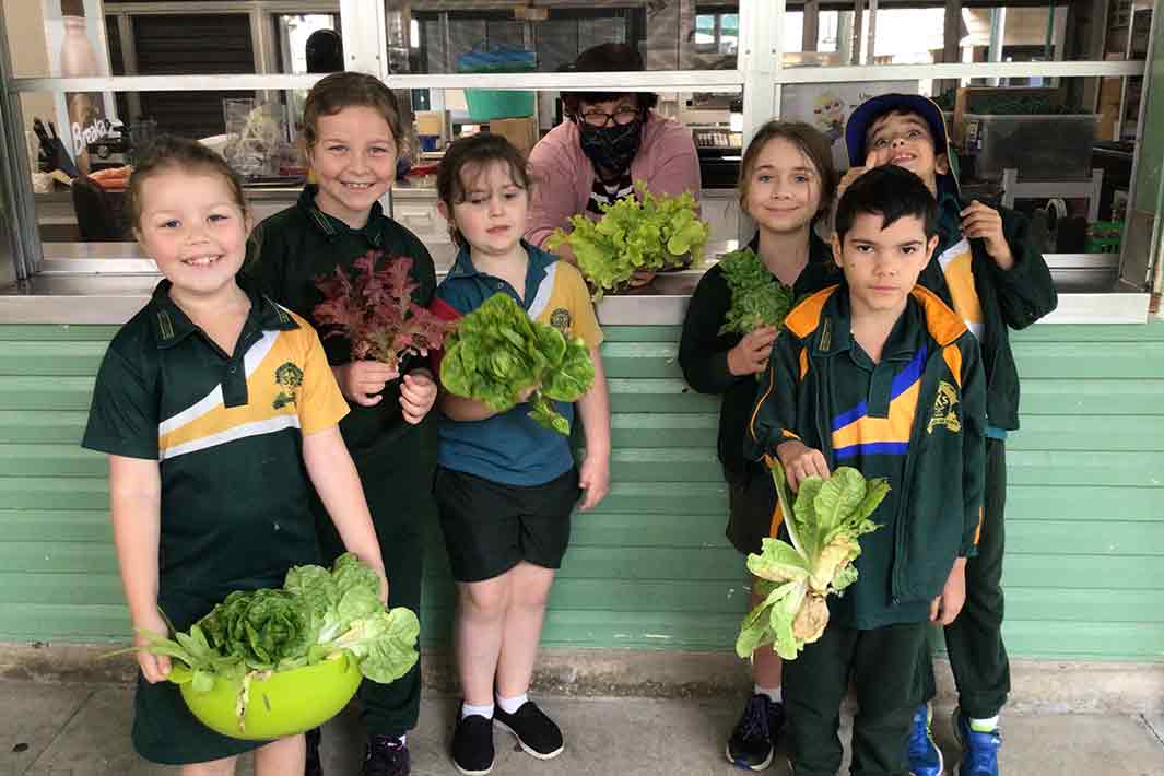 Kallangur State School Students Showing off their produce
