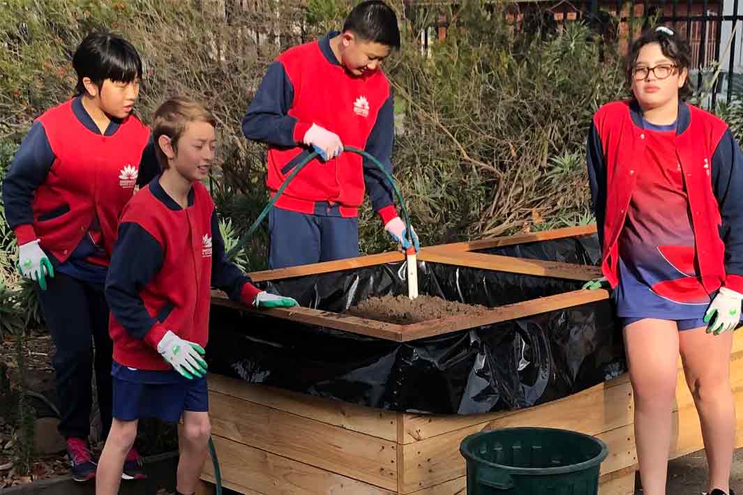 Kingswood Primary School Students filling a wicking bed pipe