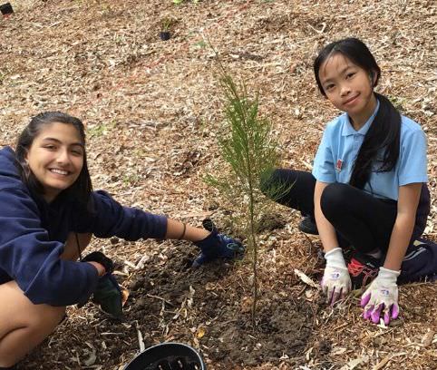 Image Description: Two school students planting a tree.