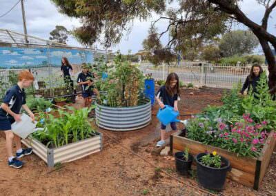 Blanchetown Primary School Students gardening