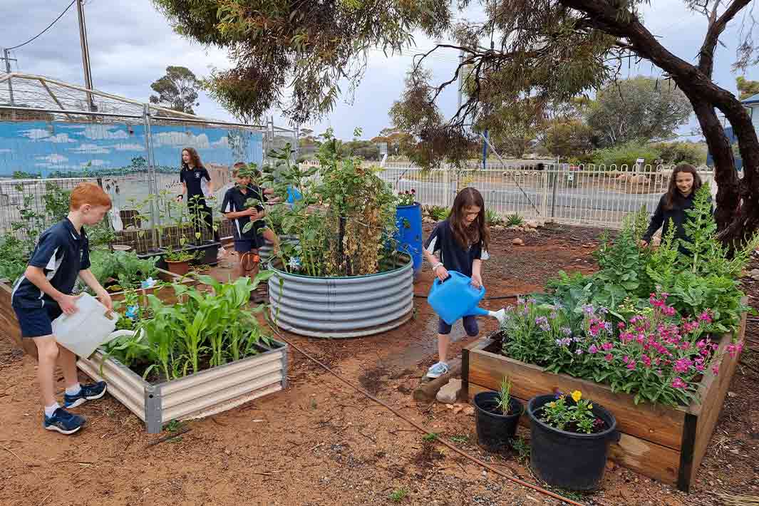 Blanchetown Primary School Students gardening