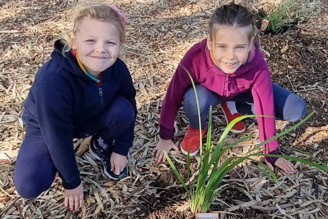 Bold Park Primary Students in their garden