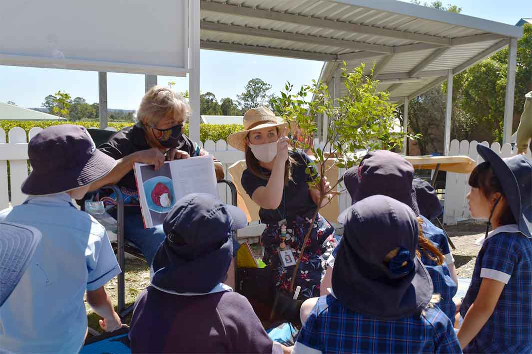 Canterbury College students learning in their bush tucker garden