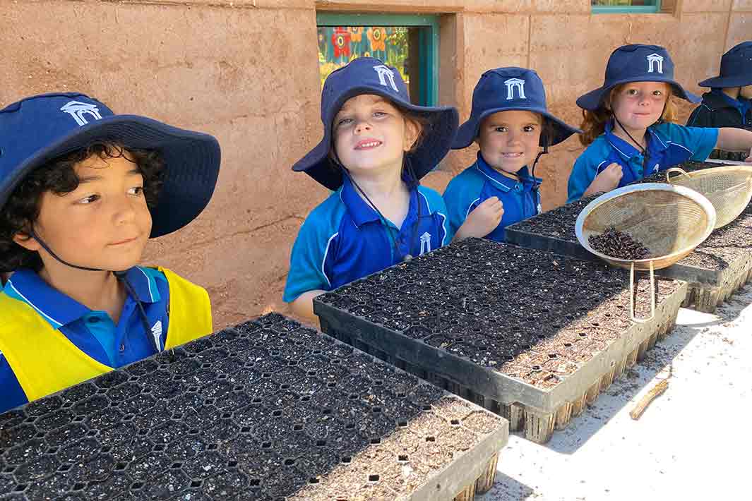 Geraldton Grammar Kindy Students with native seedlings