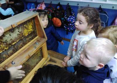 Viewbank Early Learning Centre Students with their bee hive