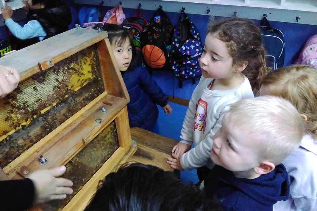 Viewbank Early Learning Centre Students with their bee hive