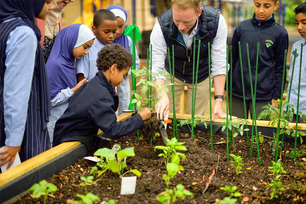 : Australian Islamic College student in their vegetable garden. Photo credit: Christopher Bremner-Macdonald, Bremac Photography