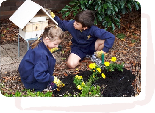 Image Description: Two primary school children in dark blue uniforms plant yellow marigold flowers in a garden bed, with a be hive behind them..