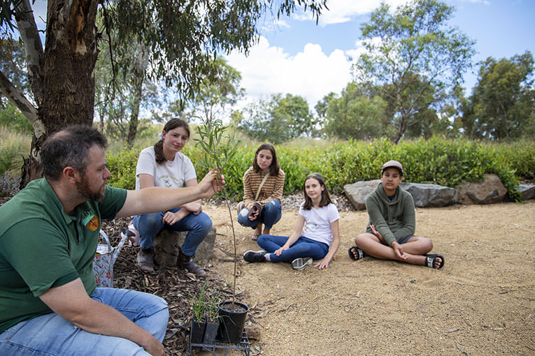 Image Description: Local traditional owner leads a discussion with 4 students sitting around him in an outdoor classroom. And assortment of native plant seedlings in a tray sit in front of the man.