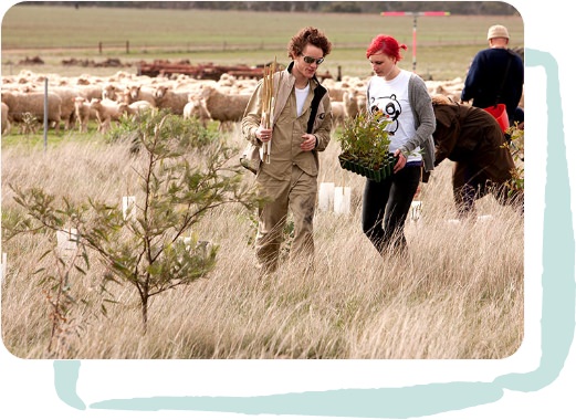 Two young adults carry tree seedlings near farm paddock with cattle in the background.
