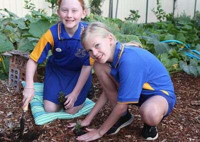 Image Description: Two primary school aged children gardening in school garden.