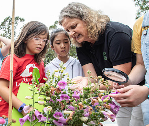 Image Description: Educator showing talking to two students about flowers.
