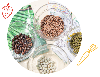Image Description: Four glass bowls with assorted seeds, beans and nuts inside.