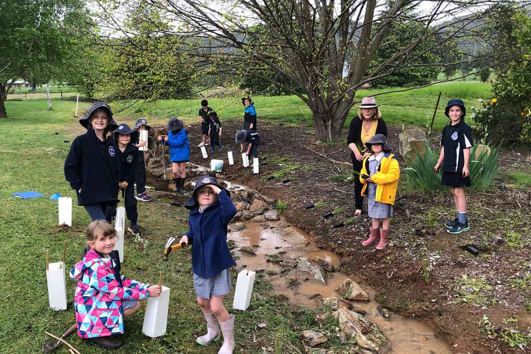 primary school students planting trees