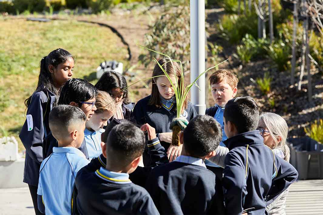 Bacchus Marsh Grammar students in a group holding shrub seedlings