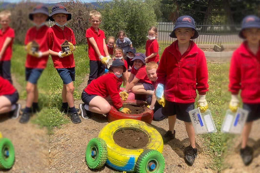Avoca Primary School’s ‘Kids Garden: designed by kids for kids’ project set out to establish a new garden in the school grounds where children could not only learn how to grow plants and food and create animal habitats, but also learn more about themselves.