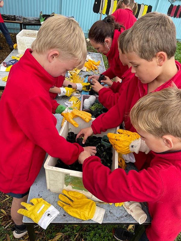 Avoca Primary School’s ‘Kids Garden: designed by kids for kids’ project set out to establish a new garden in the school grounds where children could not only learn how to grow plants and food and create animal habitats, but also learn more about themselves.