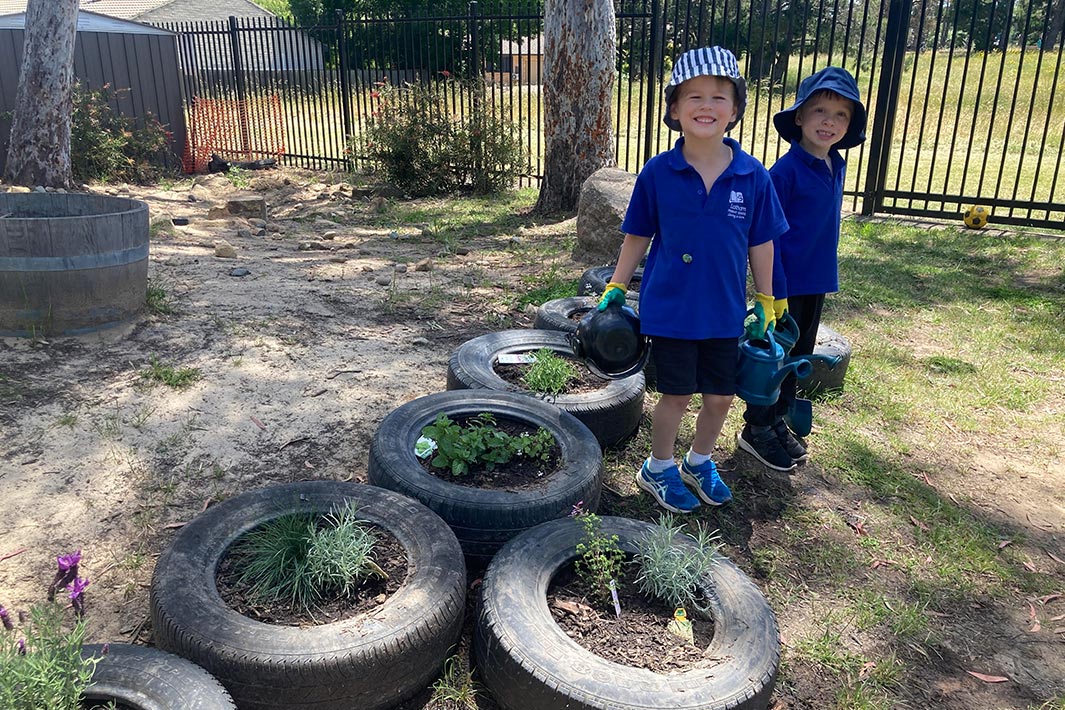 Latham Pre-School’s Garden project set about establishing two garden types – seasonal vegetables and native/bush tucker – so that students can learn about where their food comes from and develop knowledge about Indigenous plants and food practices.