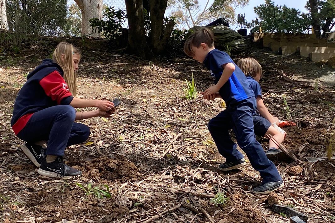 Supported by their Woolworths Junior Landcare Grant, students at Norton Summit Primary School were able to create a sustainable native garden on a hillside leading down to the school’s nature playground.