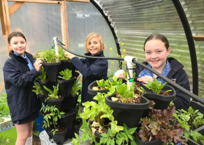 Southern Christian College students pictured getting hands-on with learning about hydroponics and sustainable gardening.