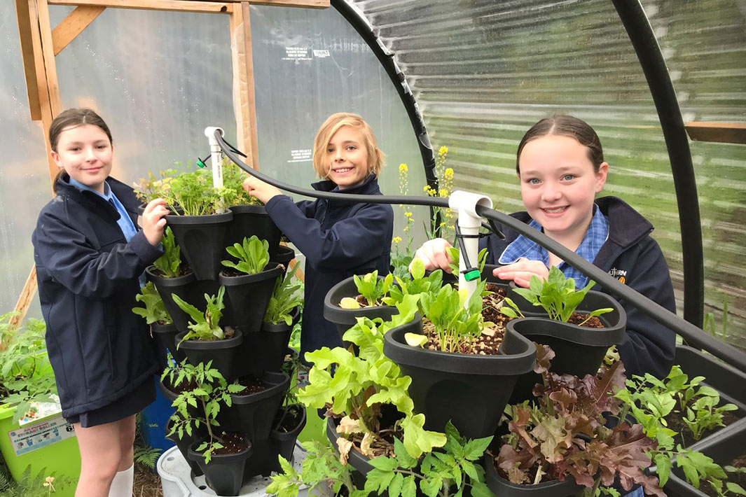 Southern Christian College students pictured getting hands-on with learning about hydroponics and sustainable gardening.