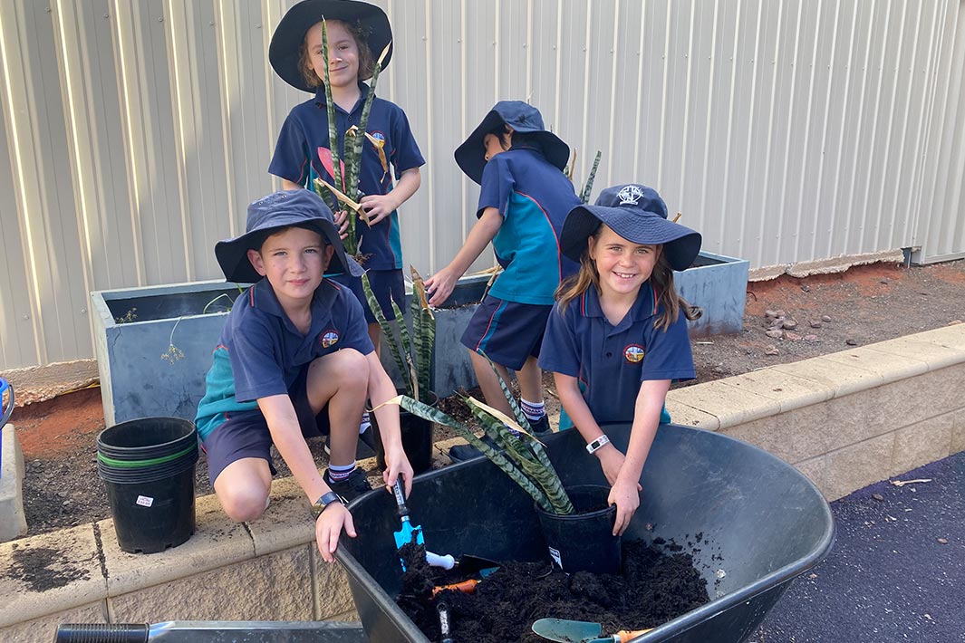 Students at St Barbara's Parish School got hard to work planting a Science Club Veggie Garden to find out what vegetables would grow in their dry, desert location of Roxby Downs.