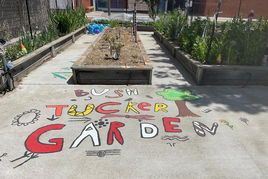 Thanks to their new Bush Tucker Garden, 580 students at Telopea Park School have been able to enjoy a garden space that reflects the Ngunnawal people's connections to the land where the students learn and play.