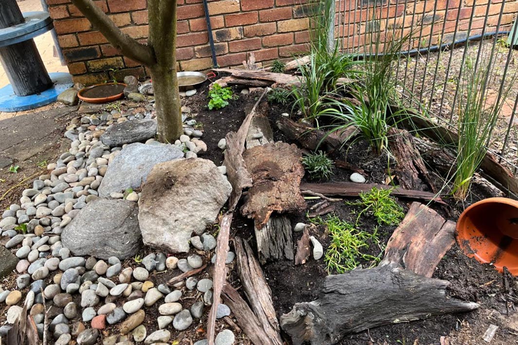 Thanks to their Woolworths Junior Landcare Grant, Dayboro Community Kindergarten in Queensland created a natural environment for their resident lizards to have a safe space to live within the grounds of the kindergarten.