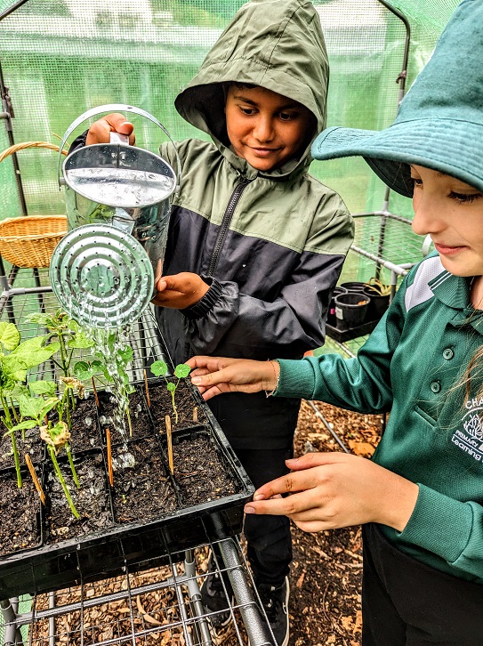 Junior Landcare Junior Landcarers In Action