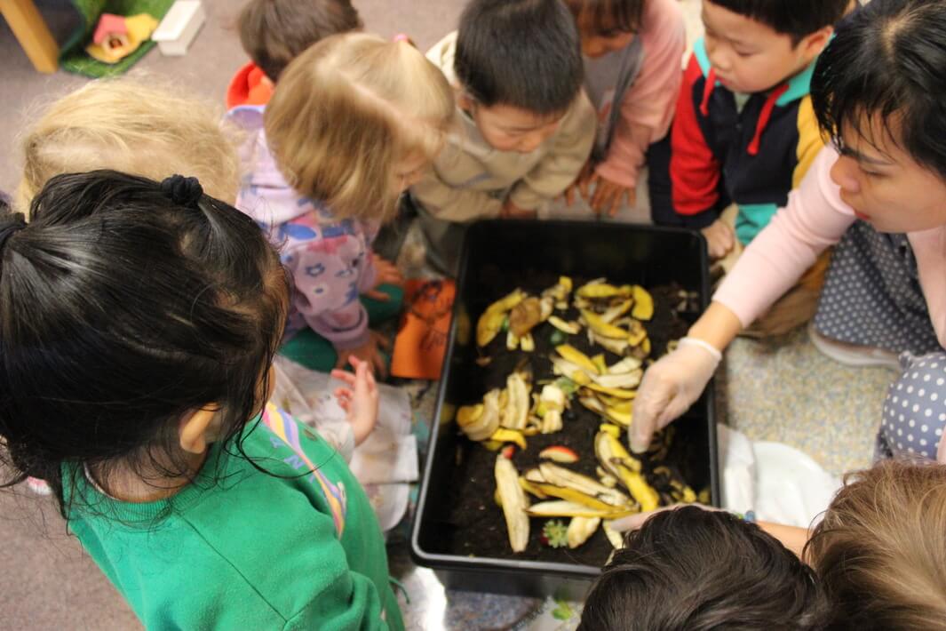Children looking at a worm farm