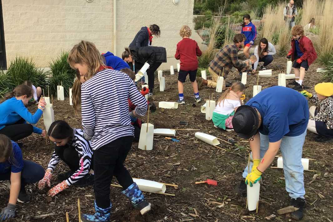 Students and parents planting